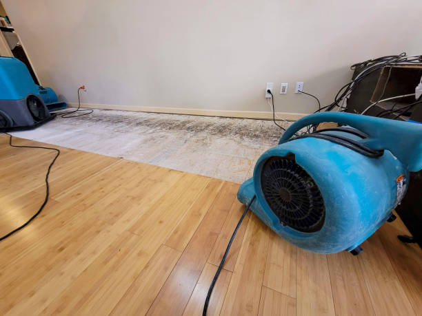 Reliable Basement Flood Cleanup contractor in Fall River, MA by Hirex Water Damage