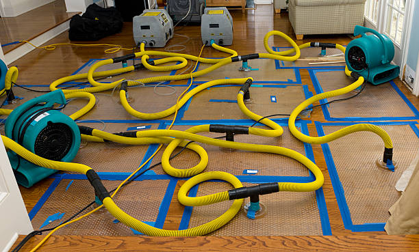 Professional Basement Flood Cleanup technician working in Fall River, MA